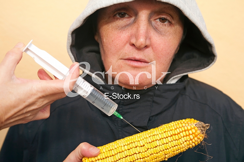 GMO corn