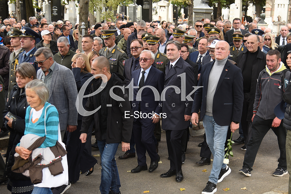 Nebojsa Pavkovic porodica