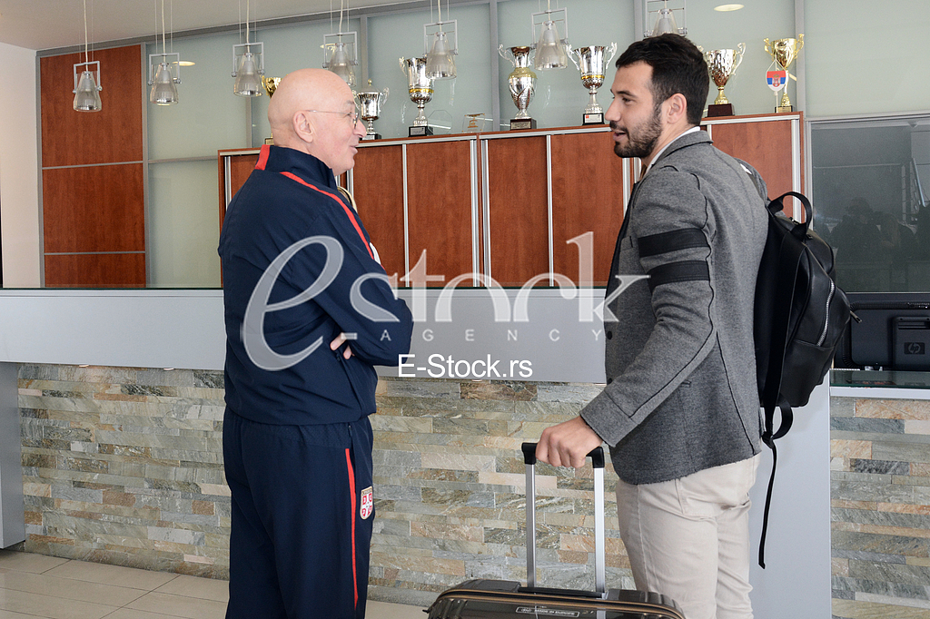 Football Association of Serbia, the Serbian team.