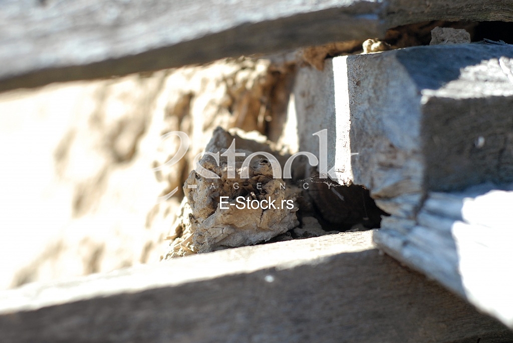 Wooden door
