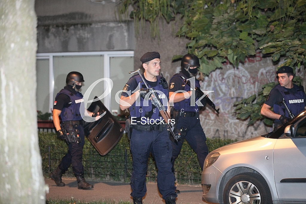 The shooting in New Belgrade The shooting in New Belgrade