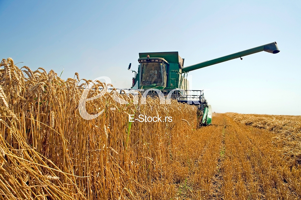 Agriculture
