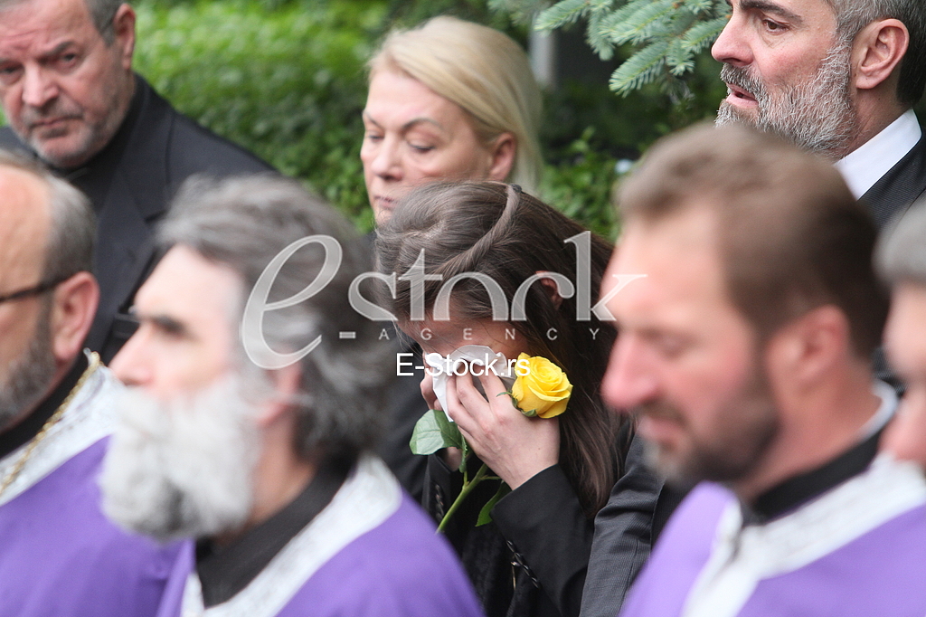 Goran Karic Gordana Karic Slavica Karic Dragomir Karic