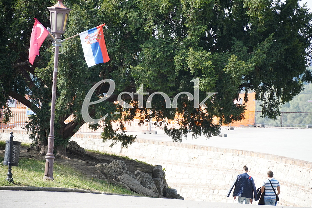 Zastave Srbije i Turske