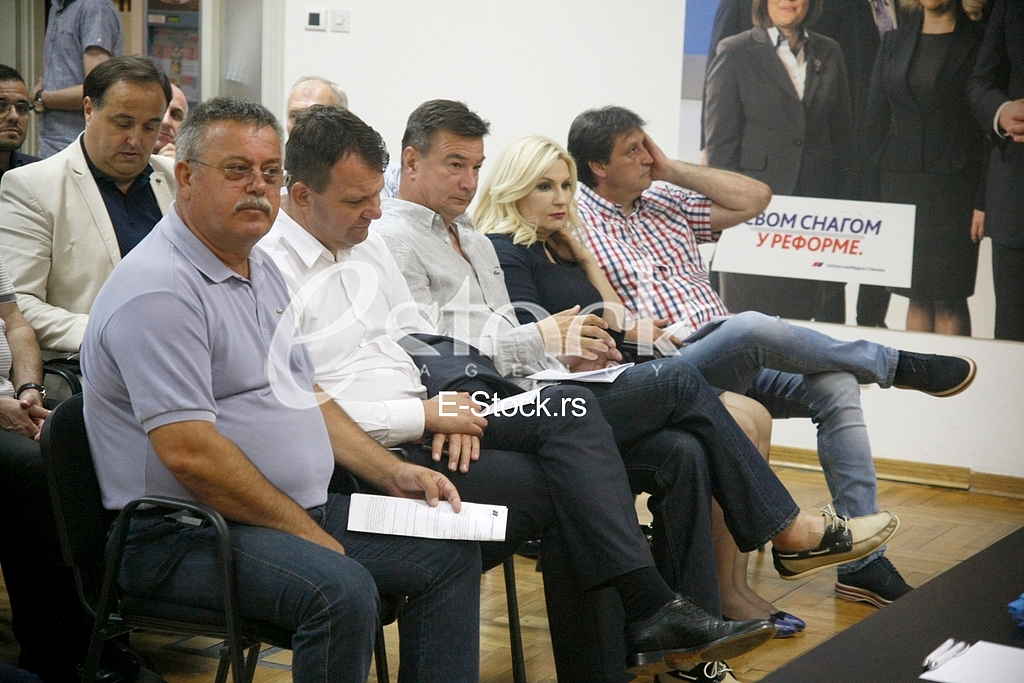 The session of the central committee SNS