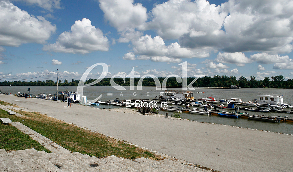 dunav , zemun