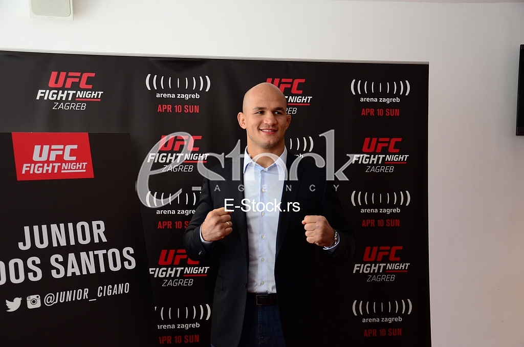 UFC Fight Night Zagreb 2016 press conference