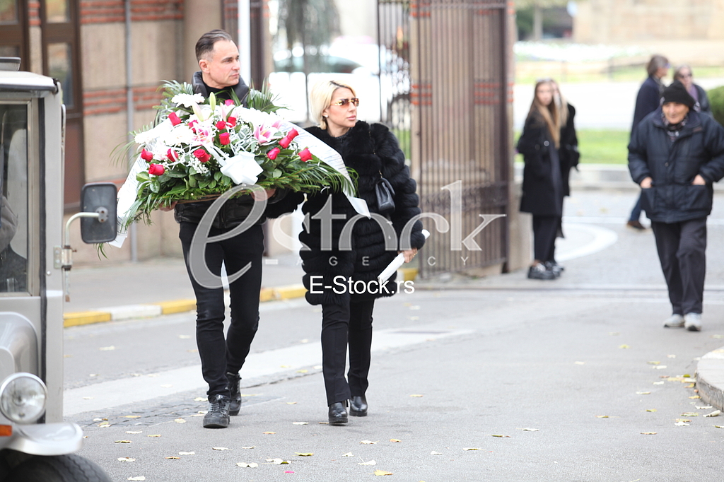 jovana jeremic dragan stankovic