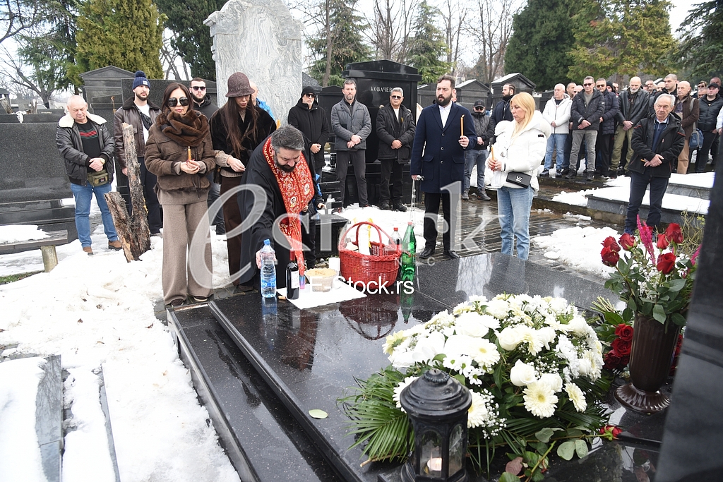 Ceca Raznatovic Bogdana Lidija Ocokoljic