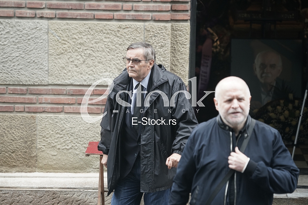 Radoslav Zelenovic Radoslav Zelenovic