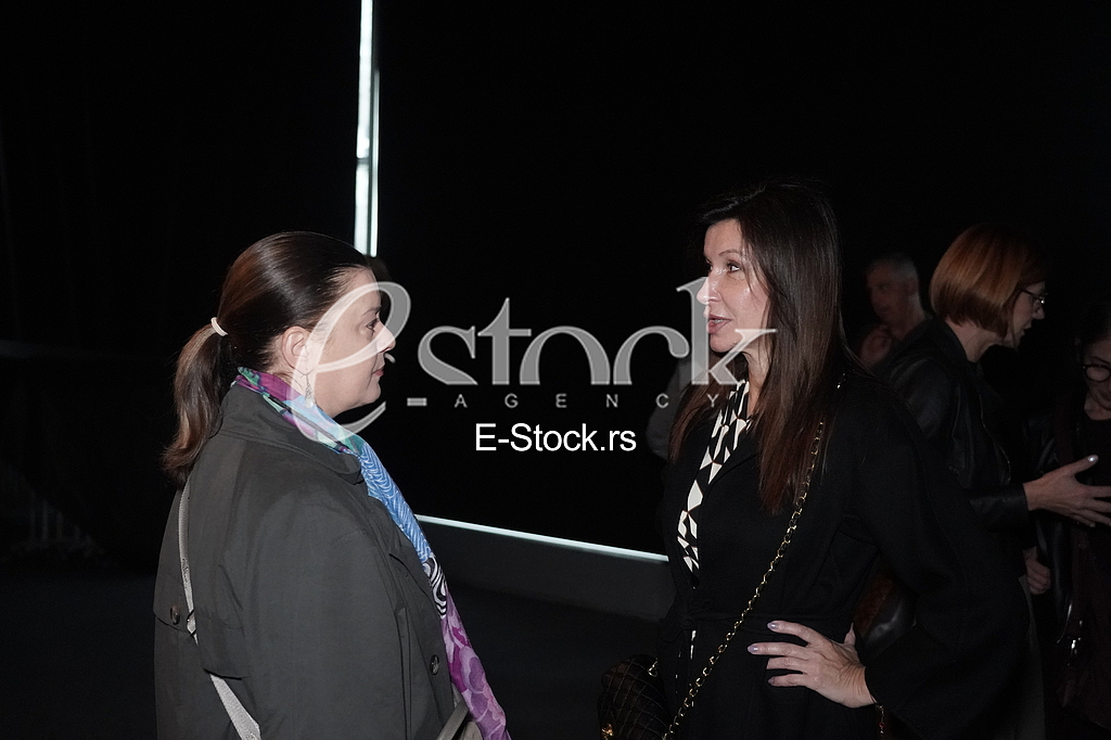 Ivana Zaric i Snezana Dakic