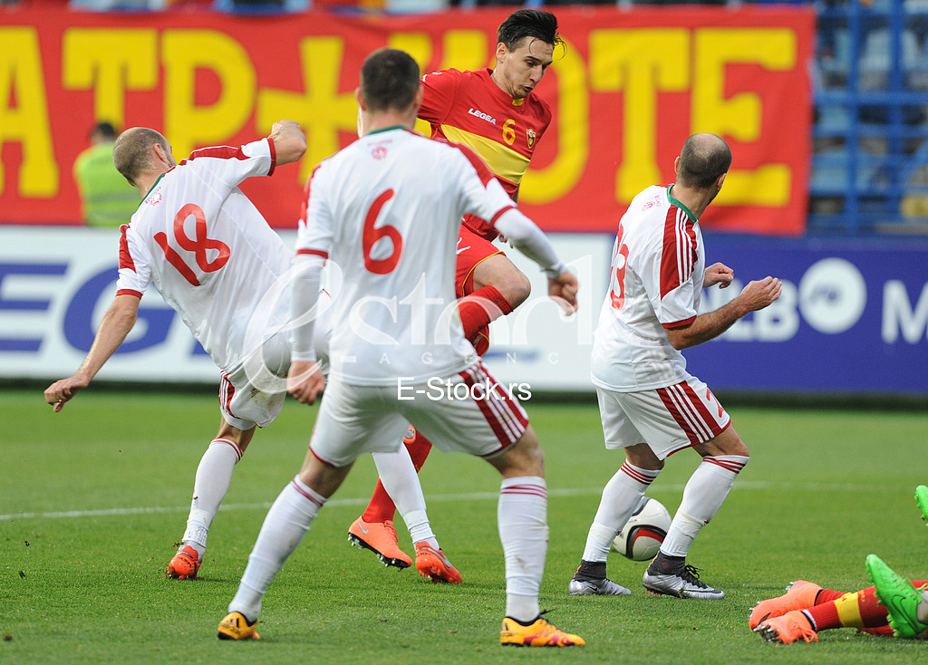 The first training of the national football team led by Ljubisa Tumbakovic