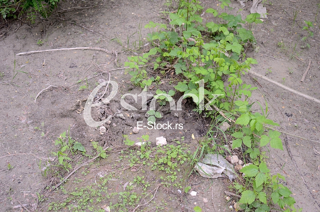 Place where he found the corpse of a Chinese citizen
