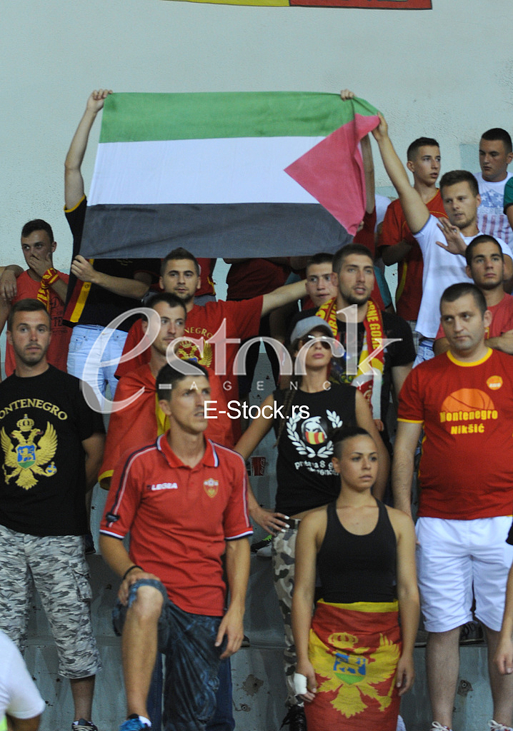 European championship qualifier