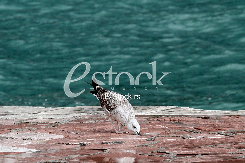 Storms in Montenegro Storms in Montenegro