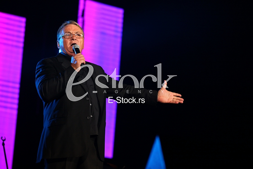 Zoran Kalezic Concert
