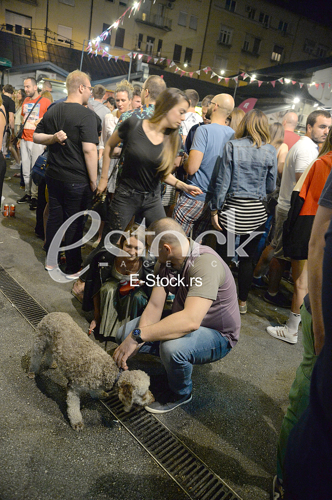 Beogradski Nocni Market