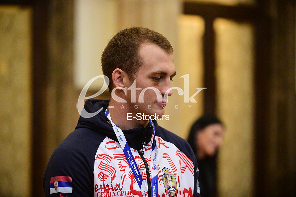 Vucic Mironcikov