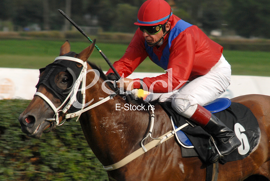 Ljubicevo Equestrian Games
