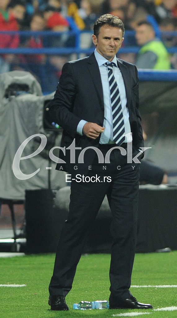 Montenegro Sweden match