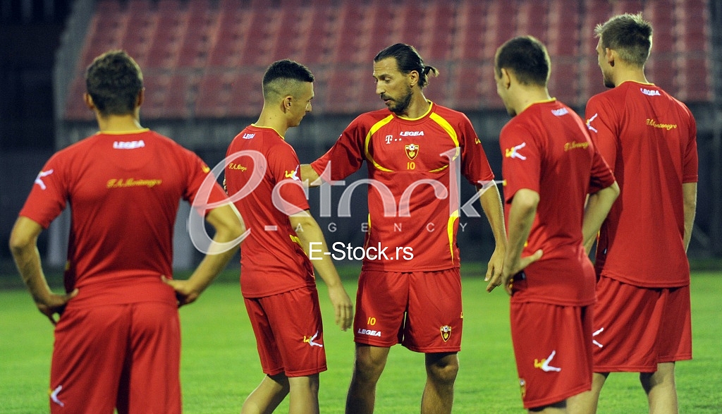 Stanisa Mandic