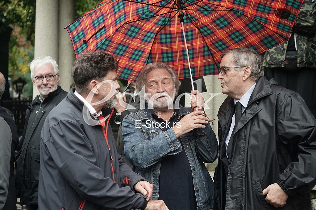 Radoslav Zelenovic Radoslav Zelenovic