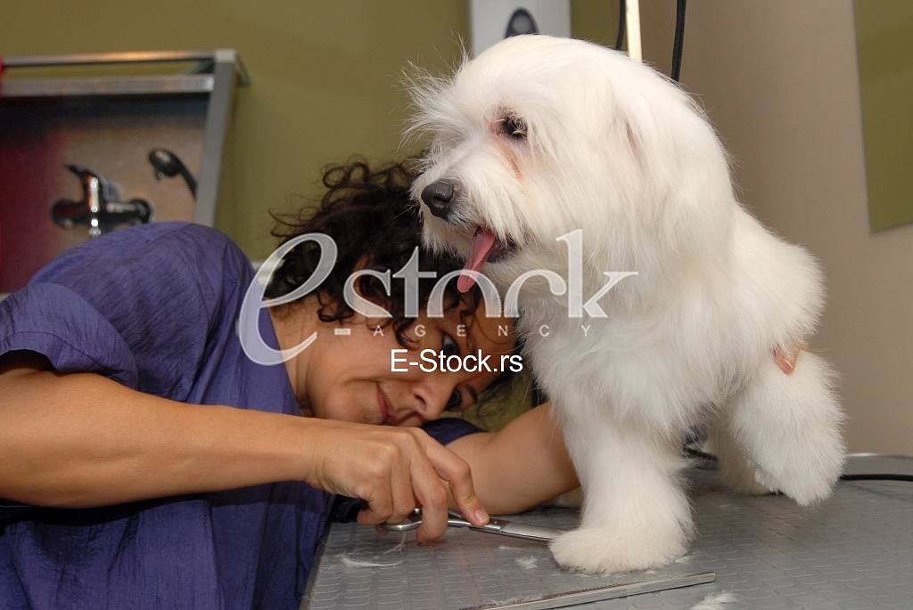 Grooming