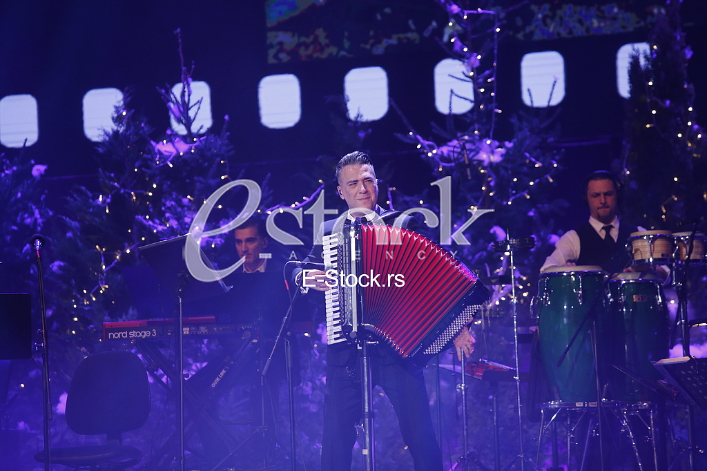 Koncert Zeljka Joksimovica