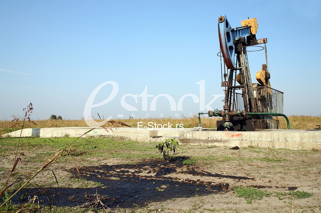 Oil