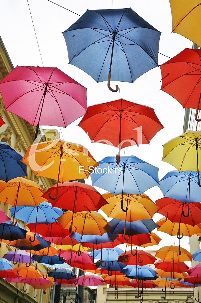 umbrellas in different colors 