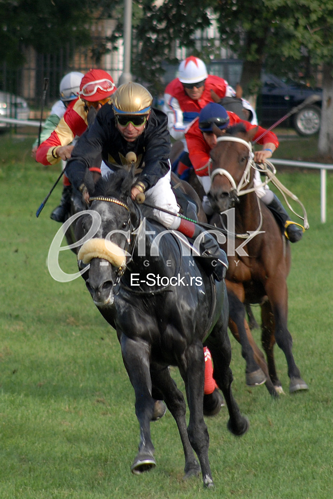 Ljubicevo Equestrian Games
