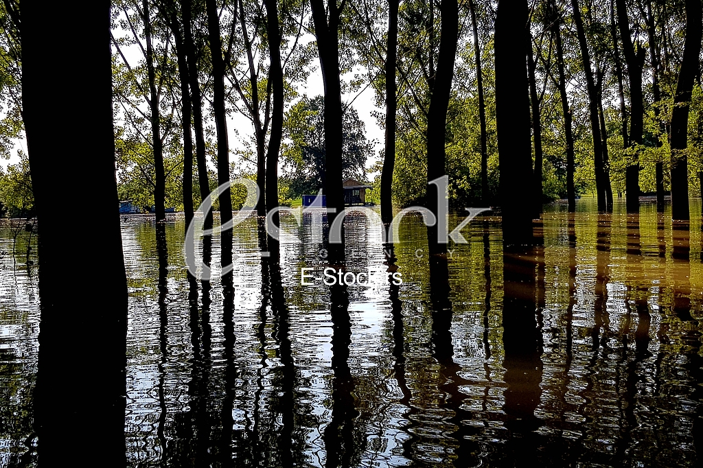 Tamis poplave