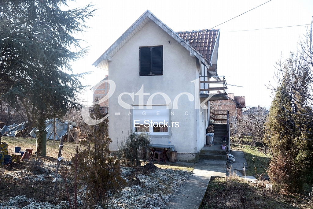  House of Misa Tumbas, big fan of the club Partizan.
