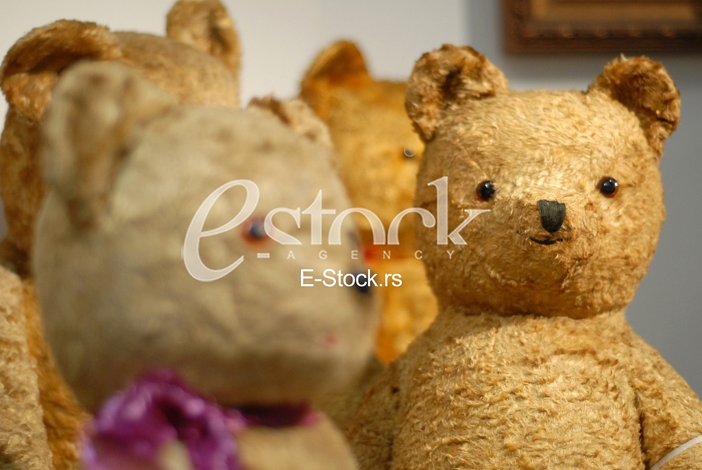 Exhibition teddy bears toys