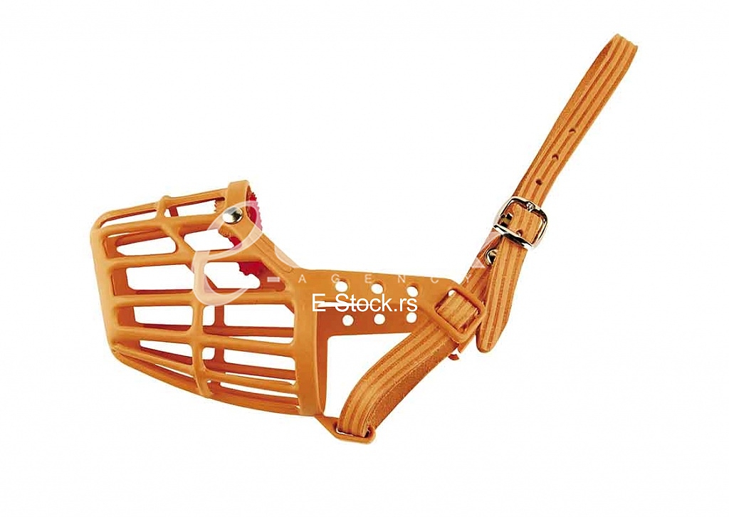 Dog basket bridle