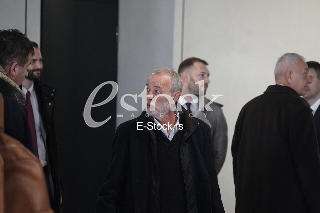 Miroslav Mika Aleksic