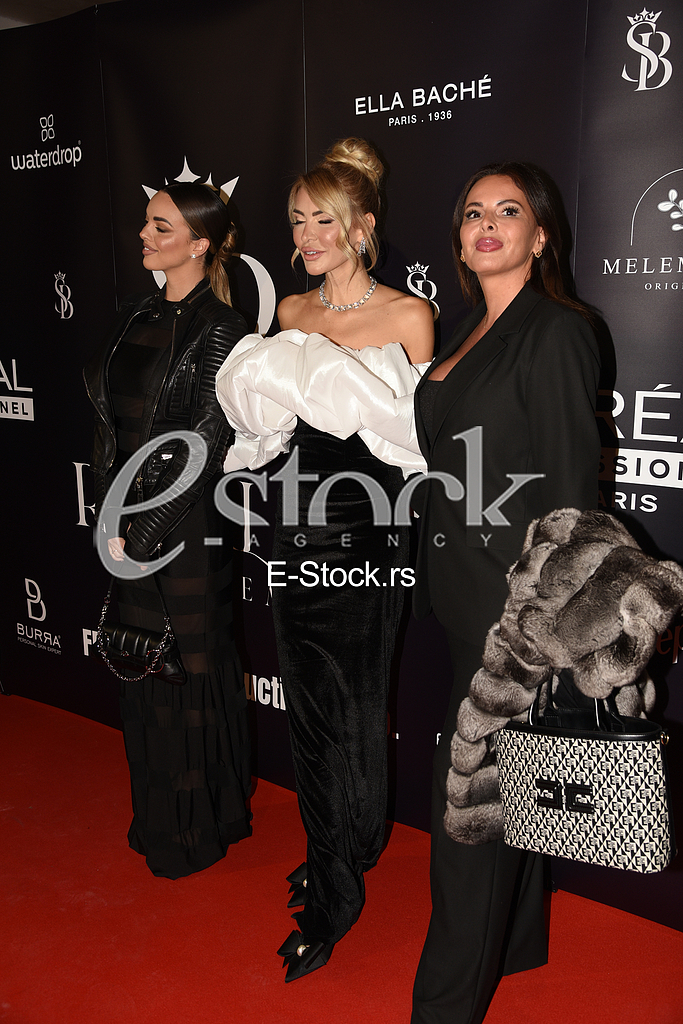 Snezana Borjan Sofija Sasic Sonja Vuksanovic