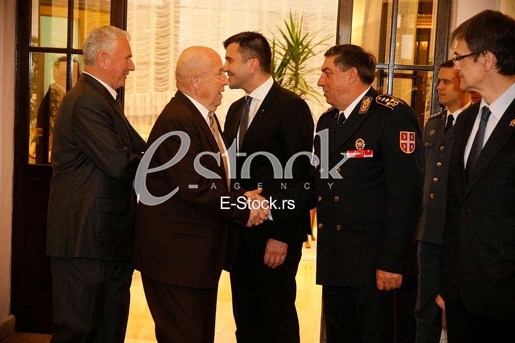 Serbian Army Day
