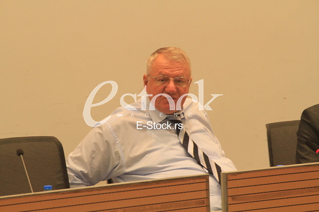 vojislav seselj