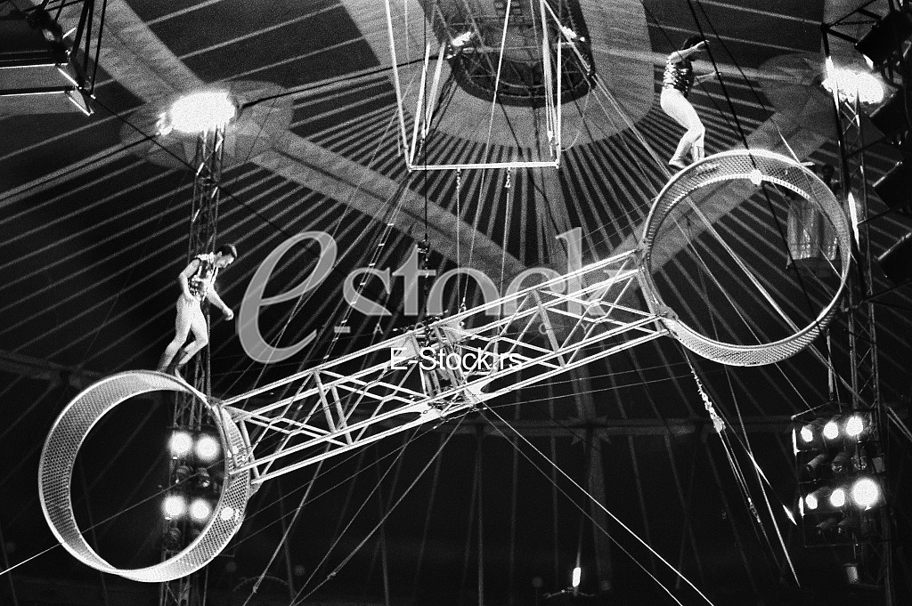 Circus