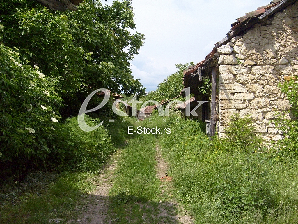 Village