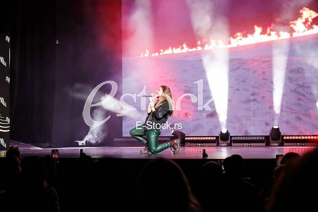 Stefan Zdravkovic Princ od Vranje