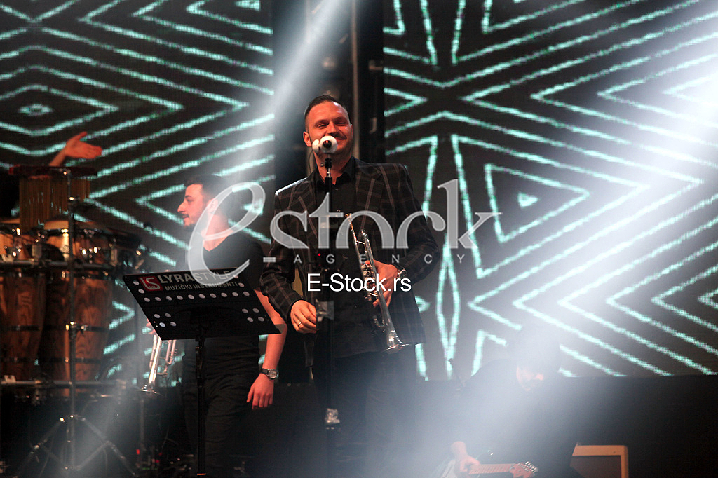 Koncert Dejan Petrovic BIBAD,Expocentar.