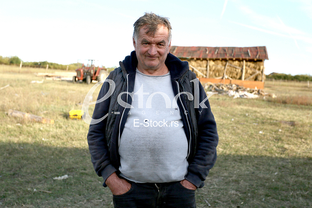 Staleta Djuric