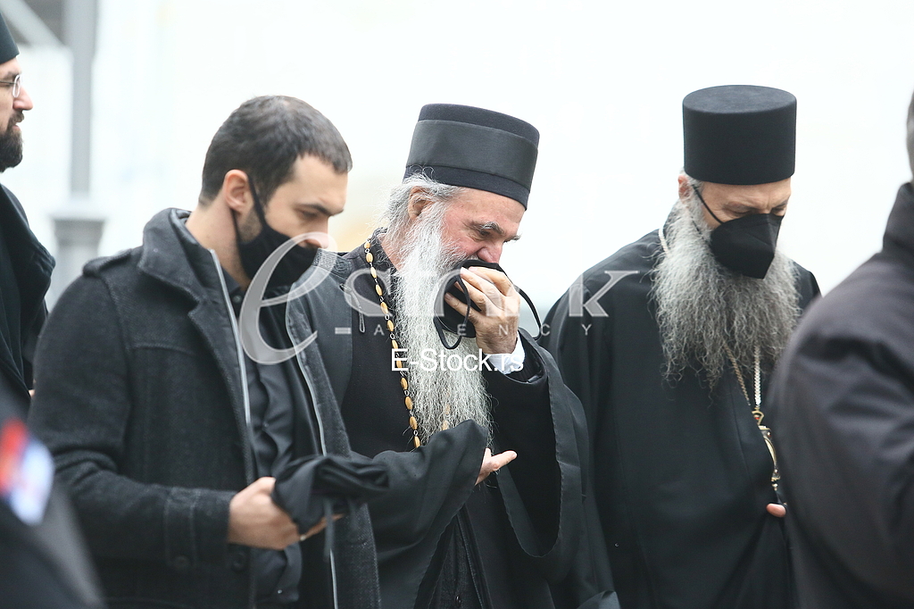 Mitropolit Porfirije (D)