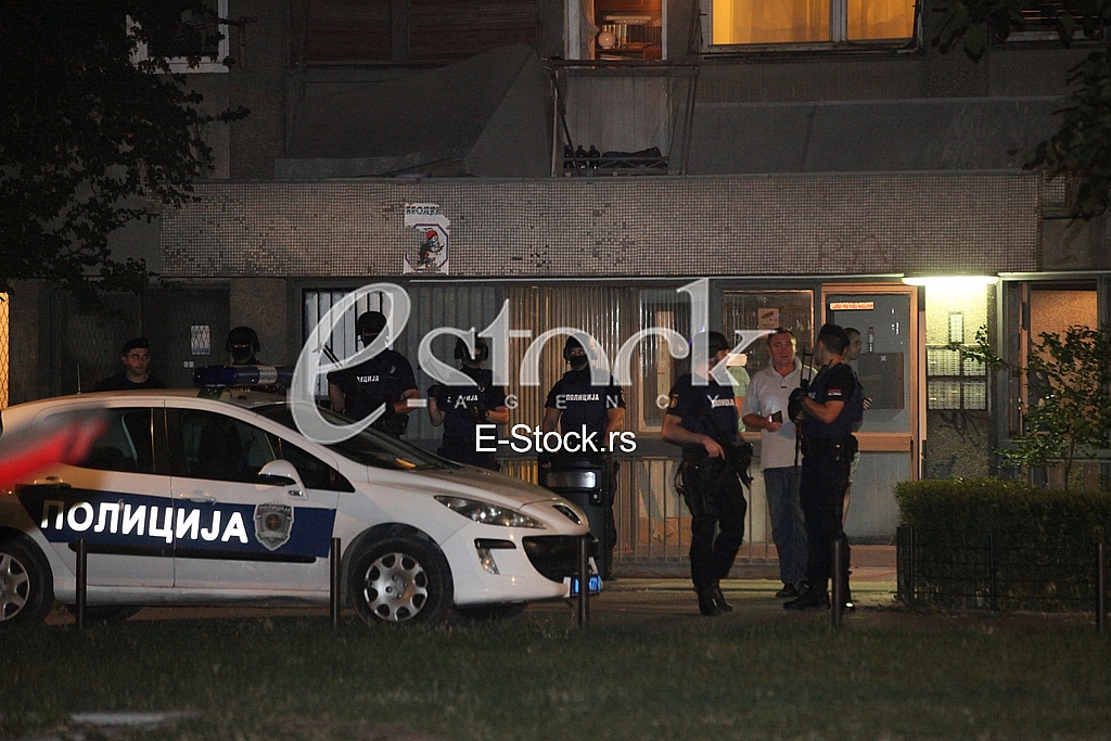 The shooting in New Belgrade The shooting in New Belgrade