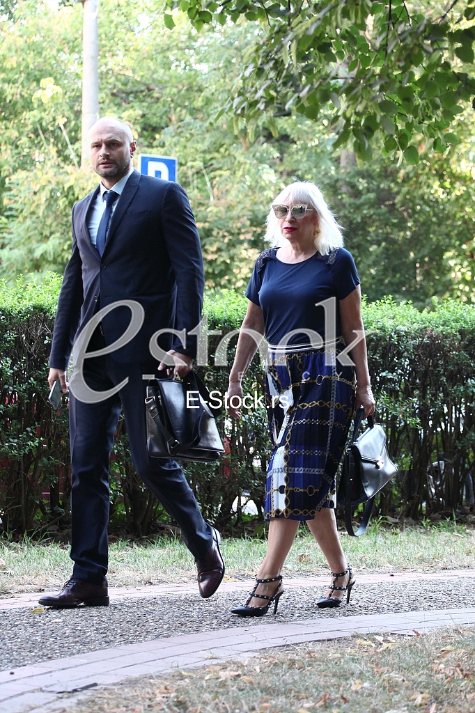 Djordje Gacevic Snezana Ilic
