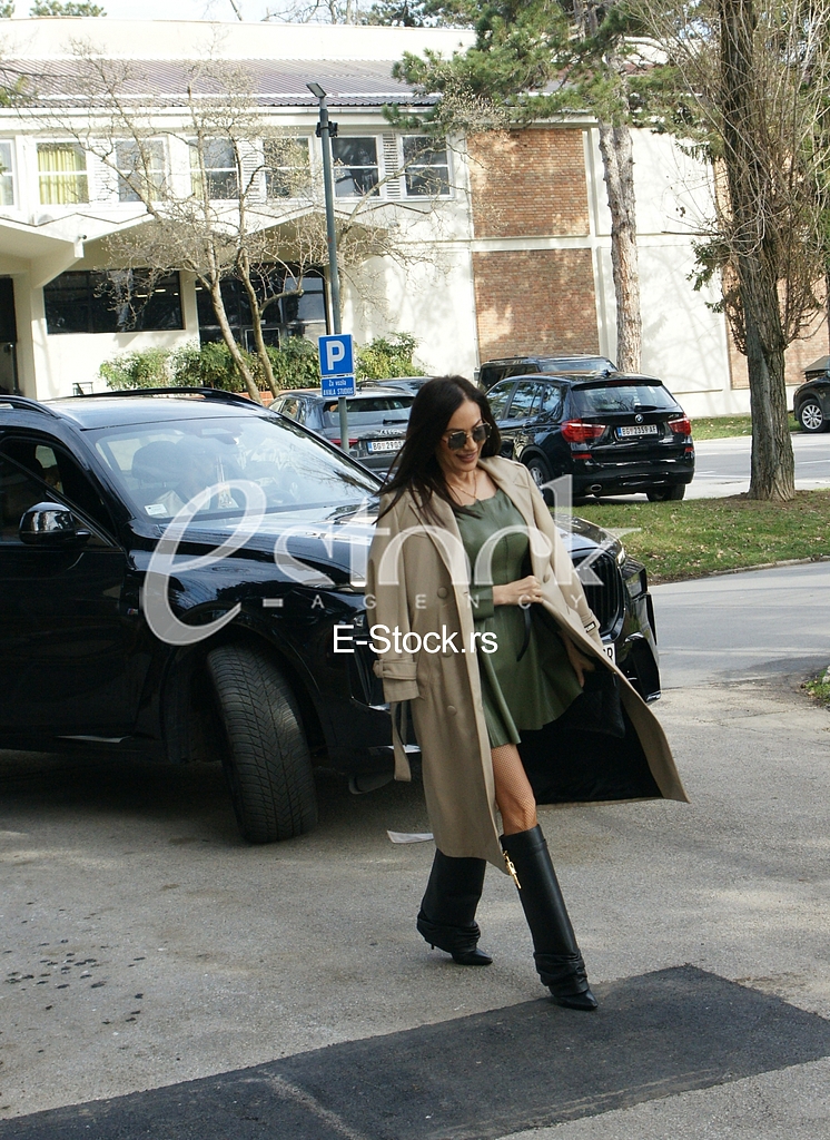 Ceca Raznatovic