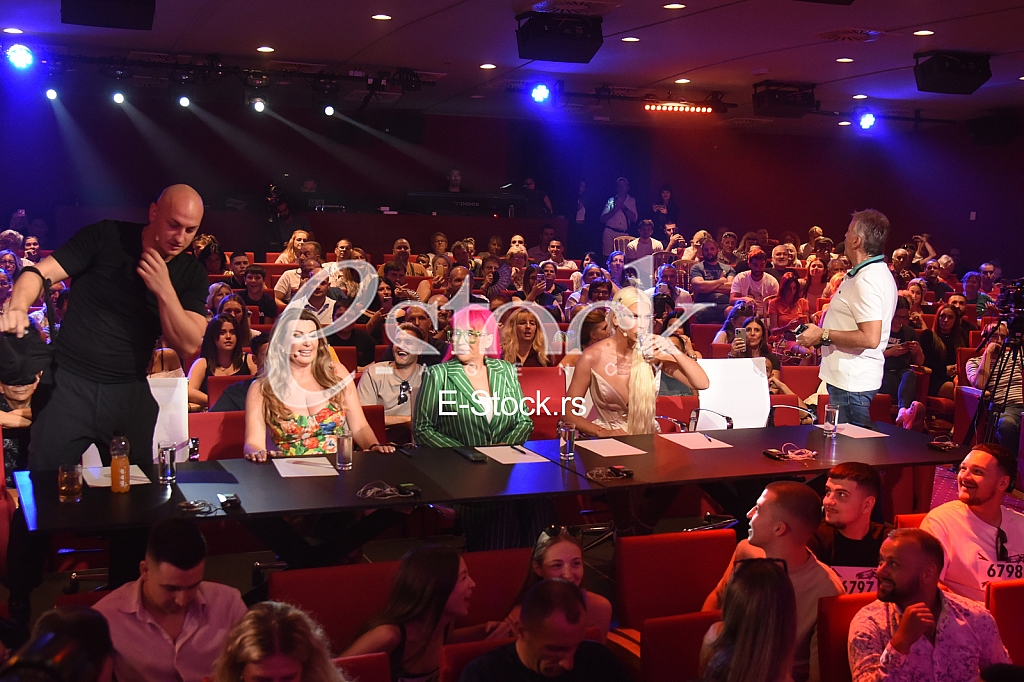 ziri Desingerica Zorica Brunclik Viki Miljkovic Bosanac Jelena Karleusa