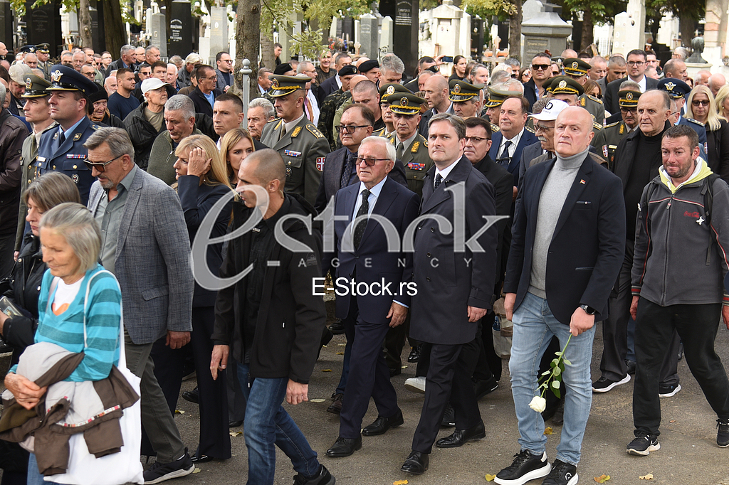 Nebojsa Pavkovic porodica